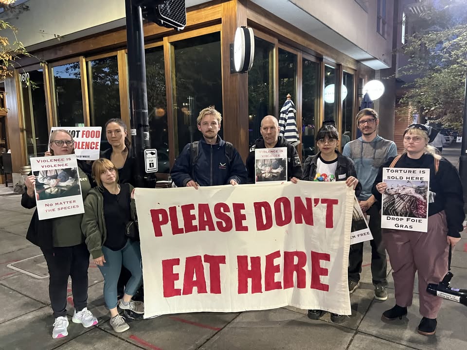 Direct Action Everywhere