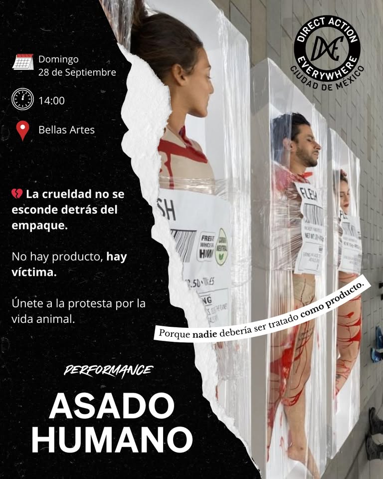 Direct Action Everywhere