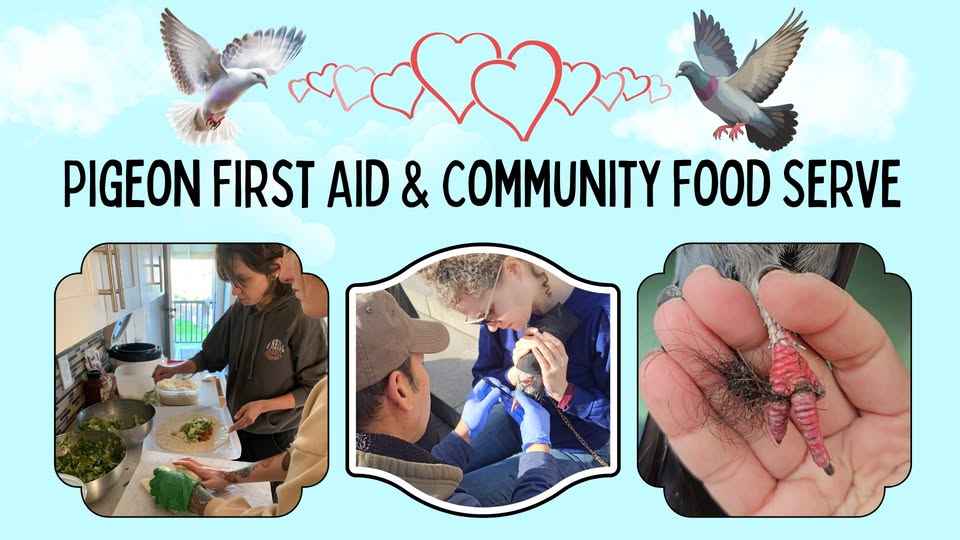 Direct Action Everywhere