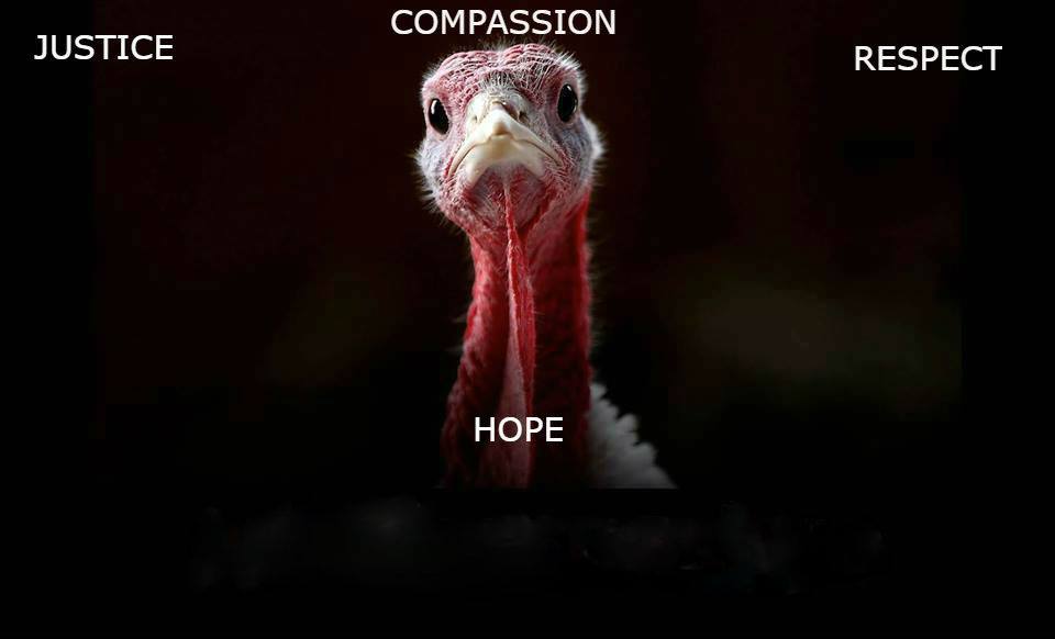 Direct Action Everywhere