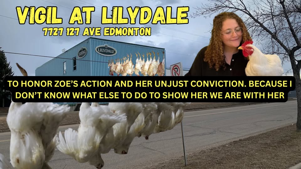 Direct Action Everywhere