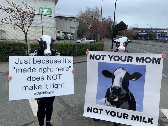 Direct Action Everywhere