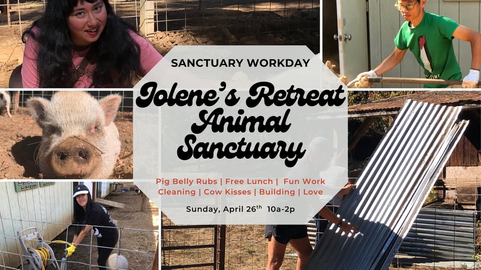 Direct Action Everywhere - DxE