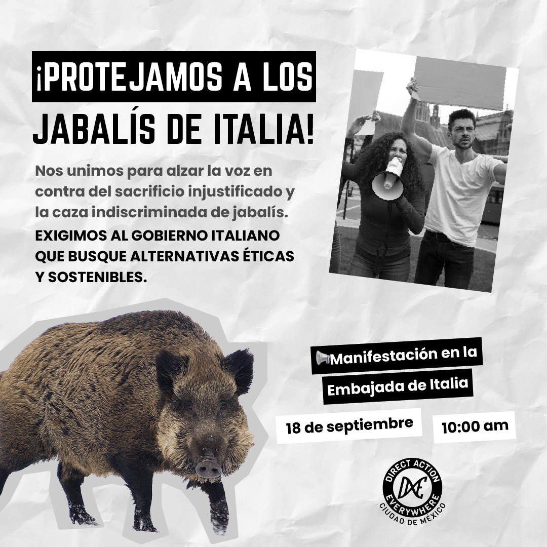 Direct Action Everywhere