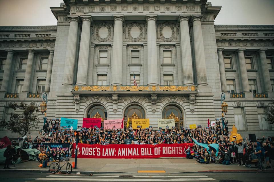 Direct Action Everywhere