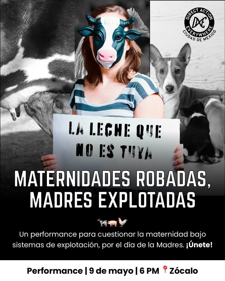 Direct Action Everywhere