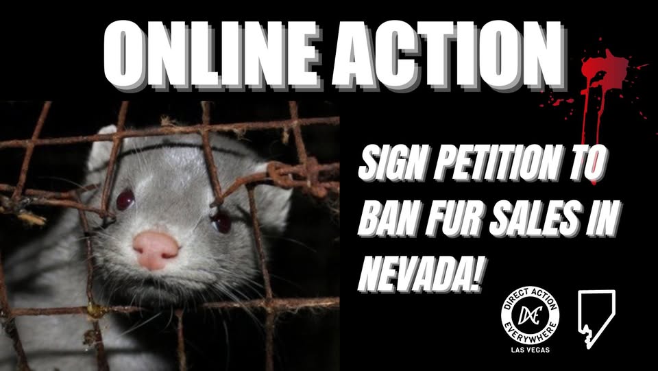 Direct Action Everywhere