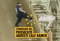 Direct Action Everywhere - DxE