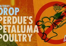 Direct Action Everywhere - DxE