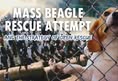 Direct Action Everywhere - DxE