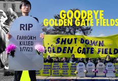 Direct Action Everywhere - DxE