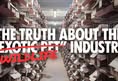 Direct Action Everywhere - DxE
