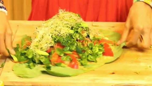 Direct Action Everywhere - DxE