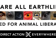 Direct Action Everywhere - DxE