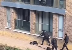 Direct Action Everywhere - DxE