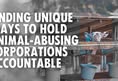 Direct Action Everywhere - DxE