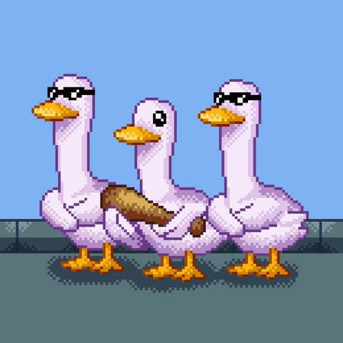 Direct Action Everywhere - DxE