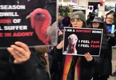 Direct Action Everywhere - DxE