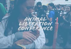 Direct Action Everywhere - DxE