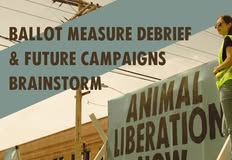 Direct Action Everywhere - DxE