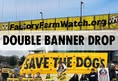 Direct Action Everywhere - DxE