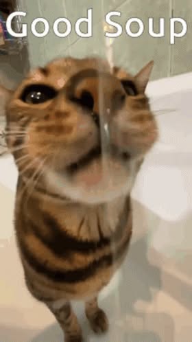 Direct Action Everywhere - DxE