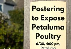 Direct Action Everywhere - DxE