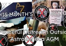 Direct Action Everywhere - DxE