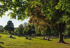 Direct Action Everywhere - DxE