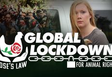 Direct Action Everywhere - DxE