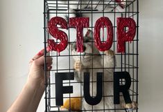 Direct Action Everywhere - DxE