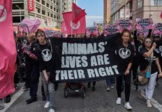 Direct Action Everywhere - DxE