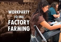 Direct Action Everywhere - DxE