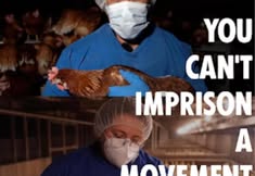 Direct Action Everywhere - DxE