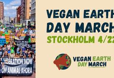 Direct Action Everywhere - DxE