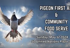 Direct Action Everywhere - DxE