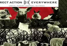 Direct Action Everywhere - DxE