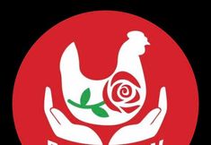 Direct Action Everywhere - DxE