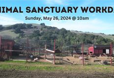 Direct Action Everywhere - DxE