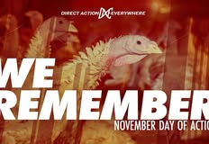 Direct Action Everywhere - DxE