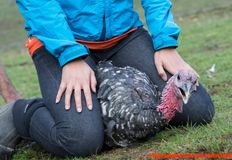 Direct Action Everywhere - DxE