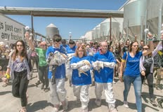 Direct Action Everywhere - DxE