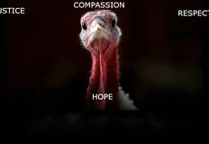 Direct Action Everywhere - DxE