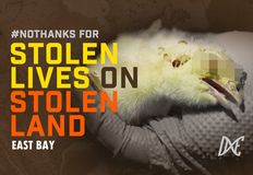 Direct Action Everywhere - DxE