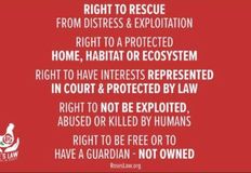 Direct Action Everywhere - DxE