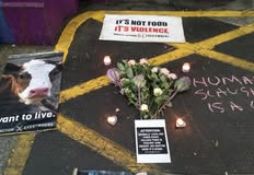 Direct Action Everywhere - DxE