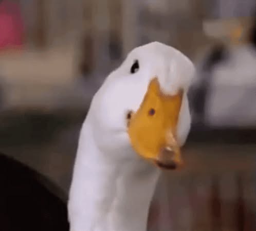 Direct Action Everywhere - DxE