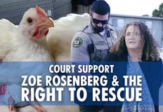 Direct Action Everywhere - DxE