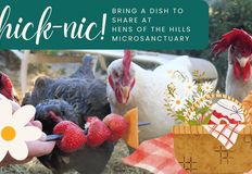 Direct Action Everywhere - DxE