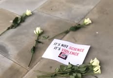 Direct Action Everywhere - DxE